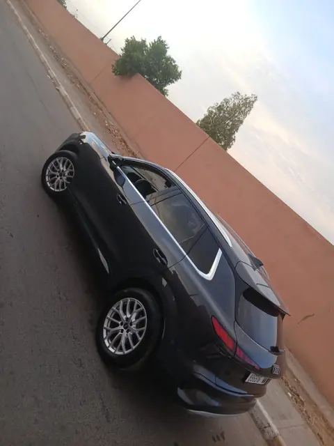 Audi Q5 — Riani Rental Car